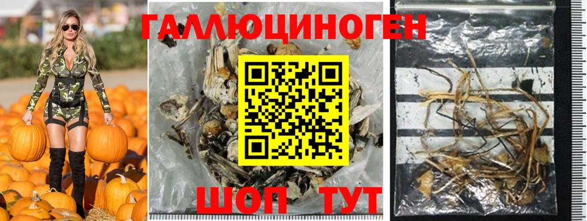 Галлюциногенные грибы прущие грибы Коммунар