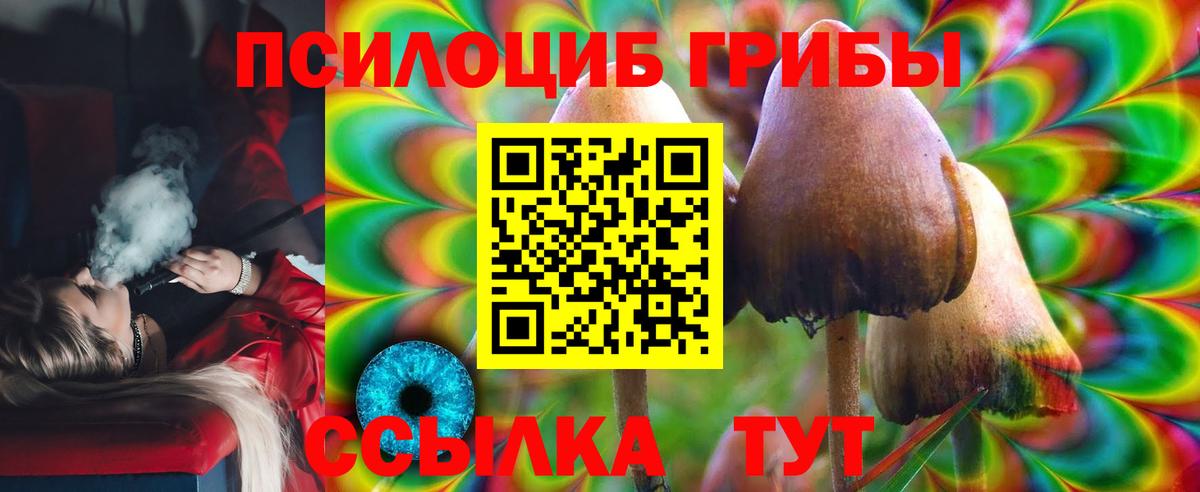 Псилоцибиновые грибы Psilocybine cubensis  купить   Коммунар  Вход с VPN  Псилоцибиновые грибы Psilocybe 